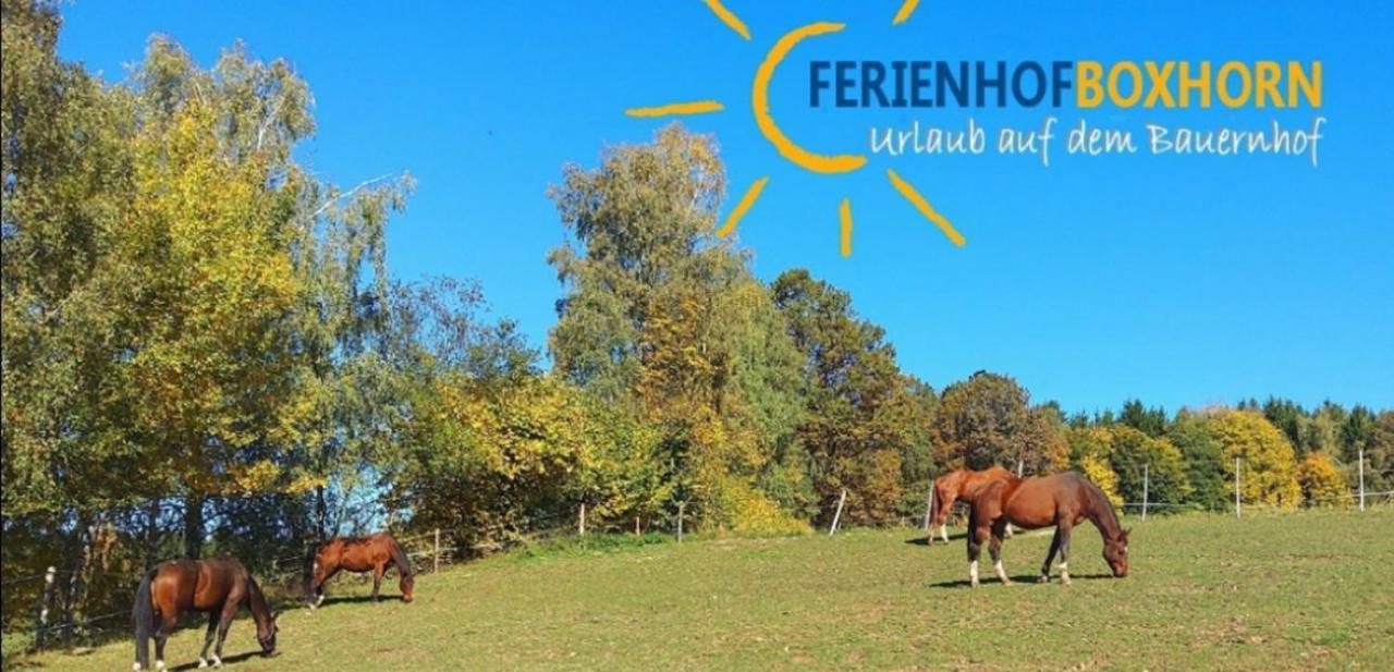 Woferlhof, Ferienhof Boxhorn Böbrach Exterior foto